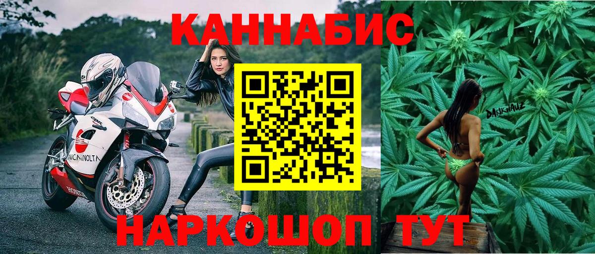 Канабис OG Kush Торжок